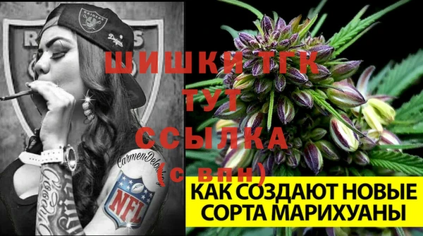 прущие крисы Кулебаки
