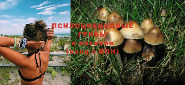 прущие крисы Кулебаки