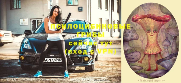 ПСИЛОЦИБИНОВЫЕ ГРИБЫ Куйбышев