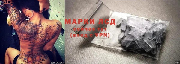 прущие крисы Кулебаки