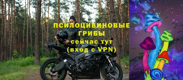 ПСИЛОЦИБИНОВЫЕ ГРИБЫ Куйбышев