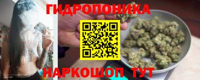 ГАЛЛЮЦИНОГЕННЫЕ ГРИБЫ Брянск