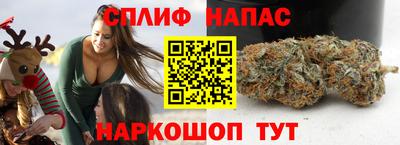 ГАЛЛЮЦИНОГЕННЫЕ ГРИБЫ Брянск