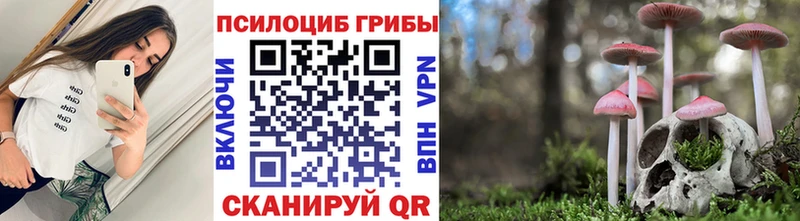 продажа наркотиков  Кинешма  ОМГ ОМГ сайт  Галлюциногенные грибы Psilocybe 
