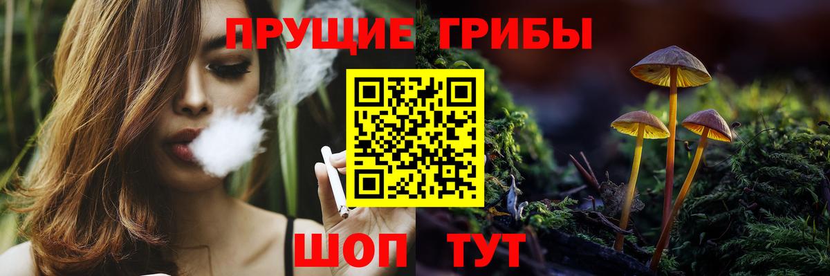 Кинешма  Галлюциногенные грибы Cubensis  Вход с VPN  Галлюциногенные грибы прущие грибы 