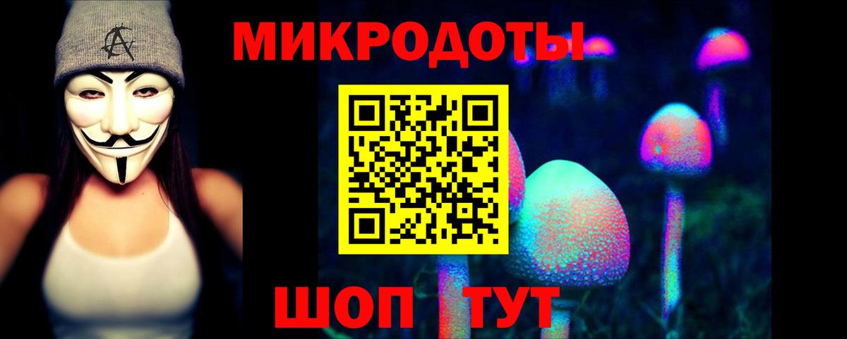 Псилоцибиновые грибы Psilocybe Кинешма
