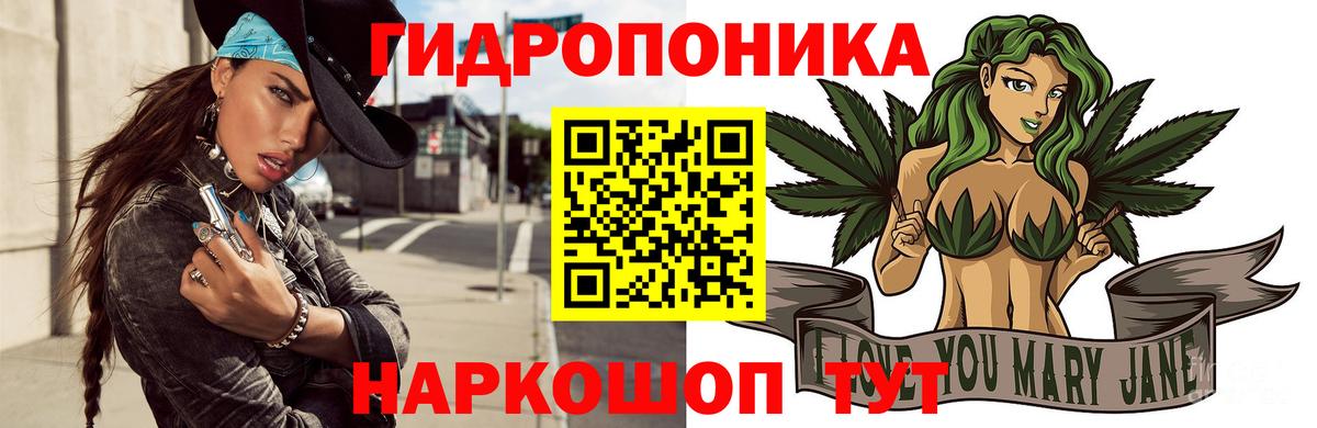 Каннабис SATIVA & INDICA Кинешма